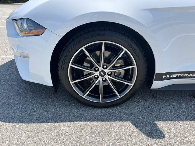 used 2019 Ford Mustang car, priced at $20,499