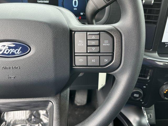 new 2025 Ford F-150 car