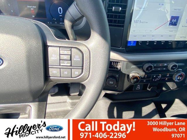 new 2025 Ford F-150 car