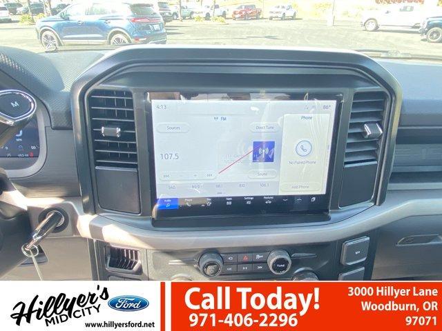 new 2025 Ford F-150 car