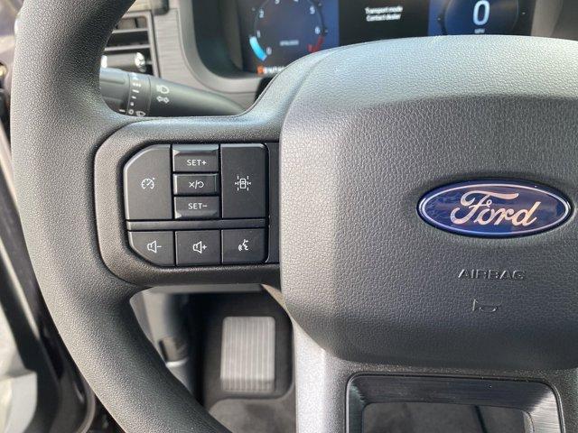 new 2024 Ford F-150 car