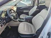 used 2020 Ford Escape car, priced at $14,250