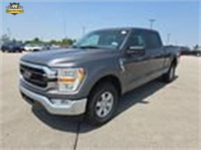 used 2021 Ford F-150 car, priced at $35,988