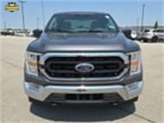 used 2021 Ford F-150 car, priced at $35,988