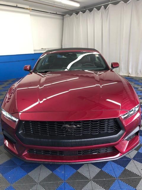 new 2025 Ford Mustang car, priced at $47,319