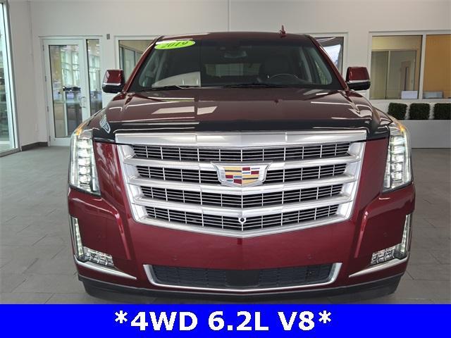 used 2019 Cadillac Escalade car, priced at $36,305