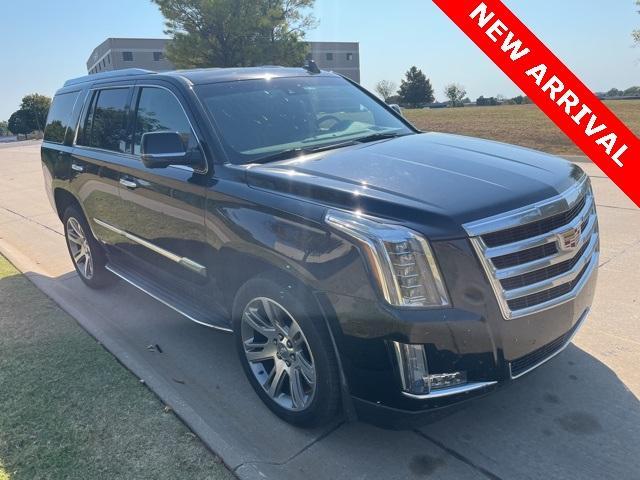 used 2016 Cadillac Escalade car, priced at $25,000