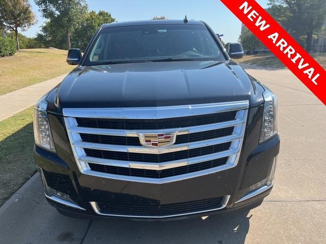 used 2016 Cadillac Escalade car, priced at $25,000