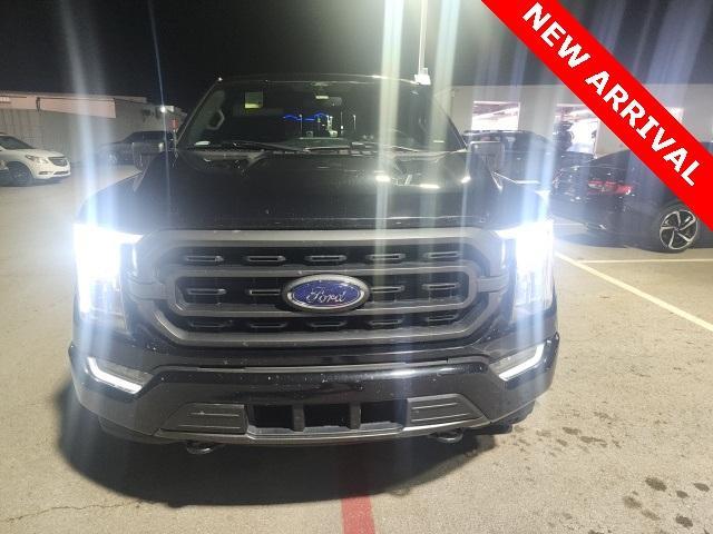 used 2021 Ford F-150 car, priced at $31,000