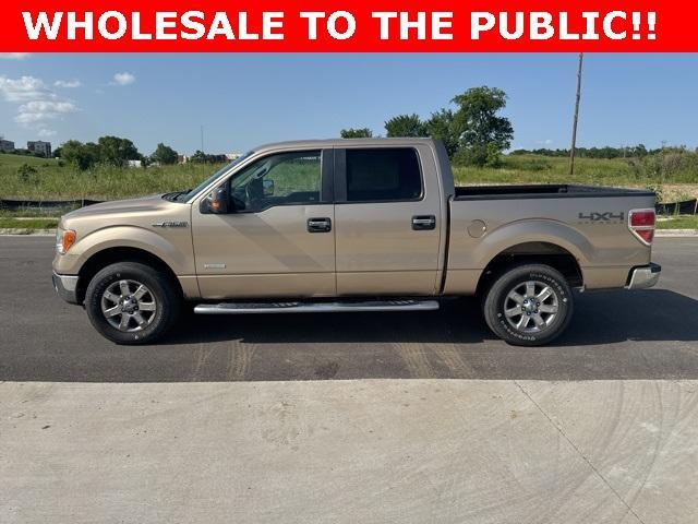 used 2014 Ford F-150 car, priced at $12,000