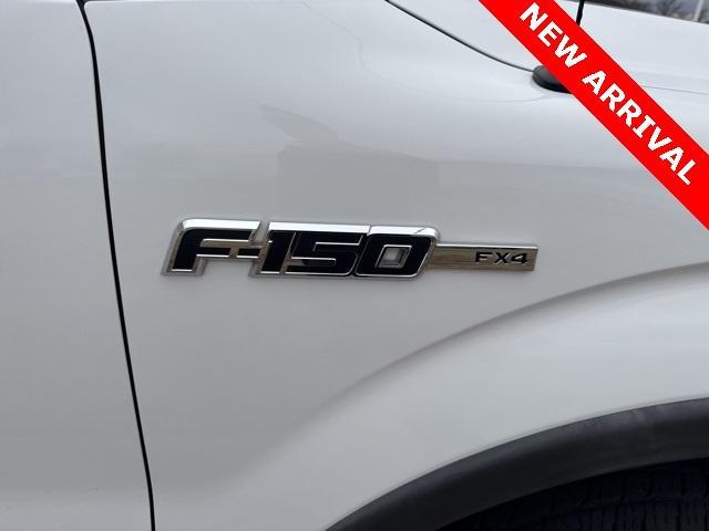 used 2010 Ford F-150 car, priced at $17,000