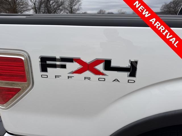 used 2010 Ford F-150 car, priced at $17,000