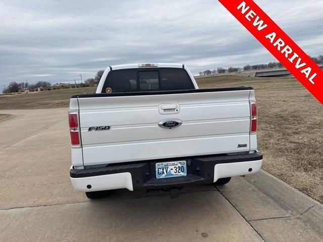 used 2010 Ford F-150 car, priced at $17,000