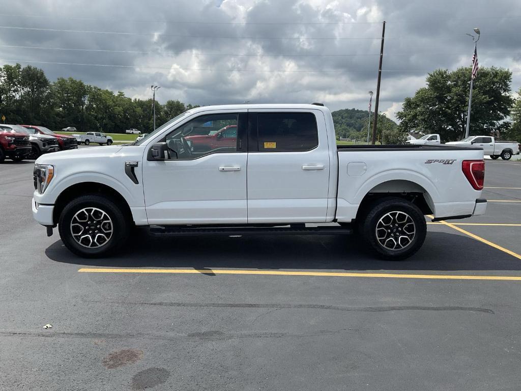 used 2023 Ford F-150 car, priced at $40,500