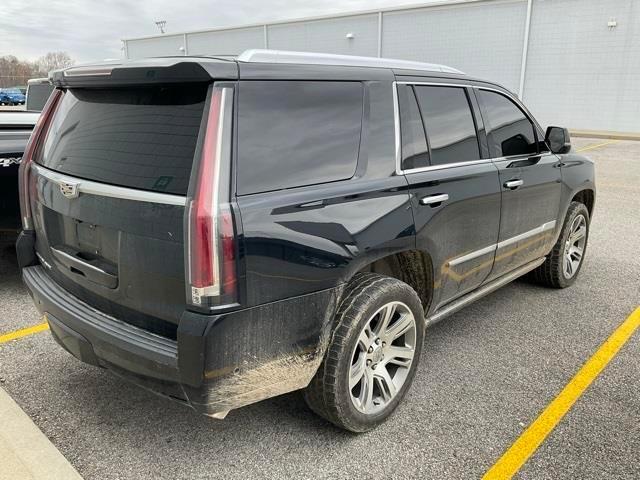 used 2017 Cadillac Escalade car, priced at $21,900