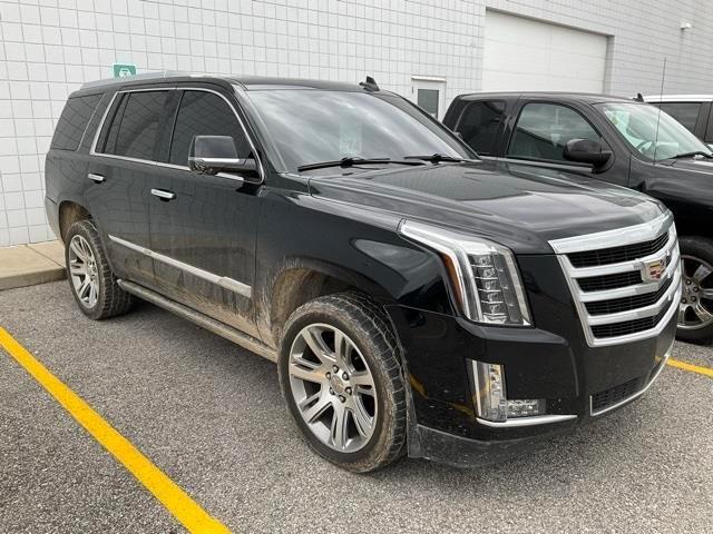 used 2017 Cadillac Escalade car, priced at $21,900