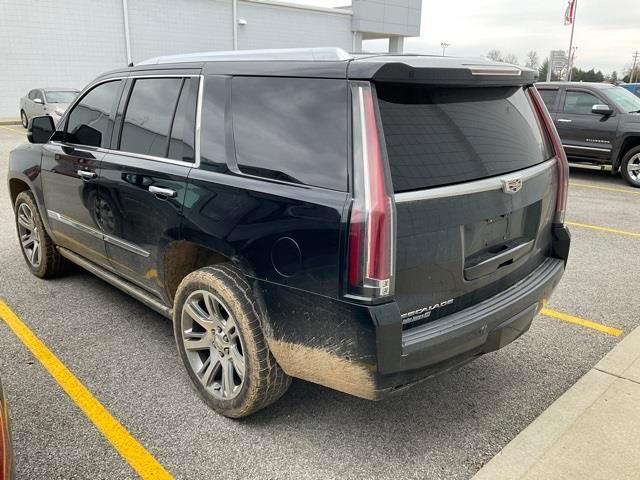 used 2017 Cadillac Escalade car, priced at $21,900