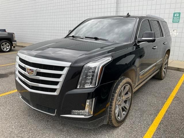 used 2017 Cadillac Escalade car, priced at $21,900