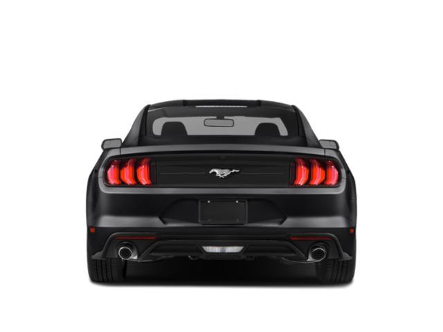 used 2019 Ford Mustang car