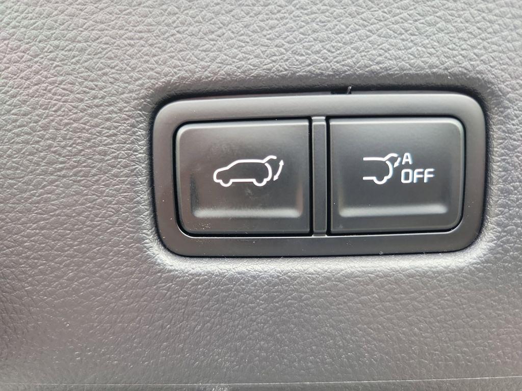 used 2025 Kia Carnival car, priced at $46,741