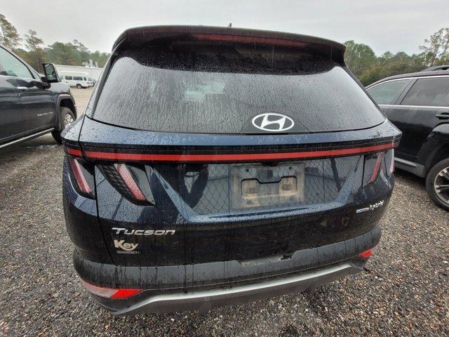 used 2022 Hyundai Tucson Hybrid car, priced at $26,758