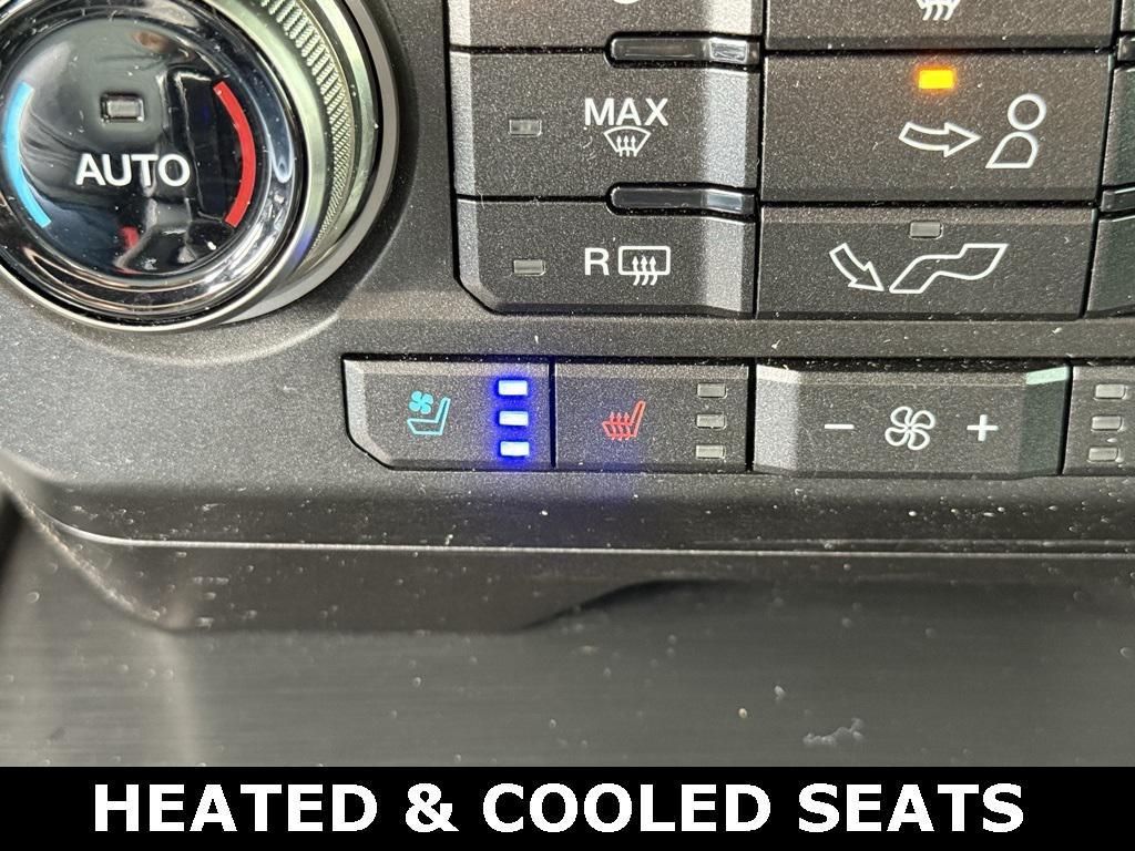 used 2019 Ford F-150 car, priced at $46,823