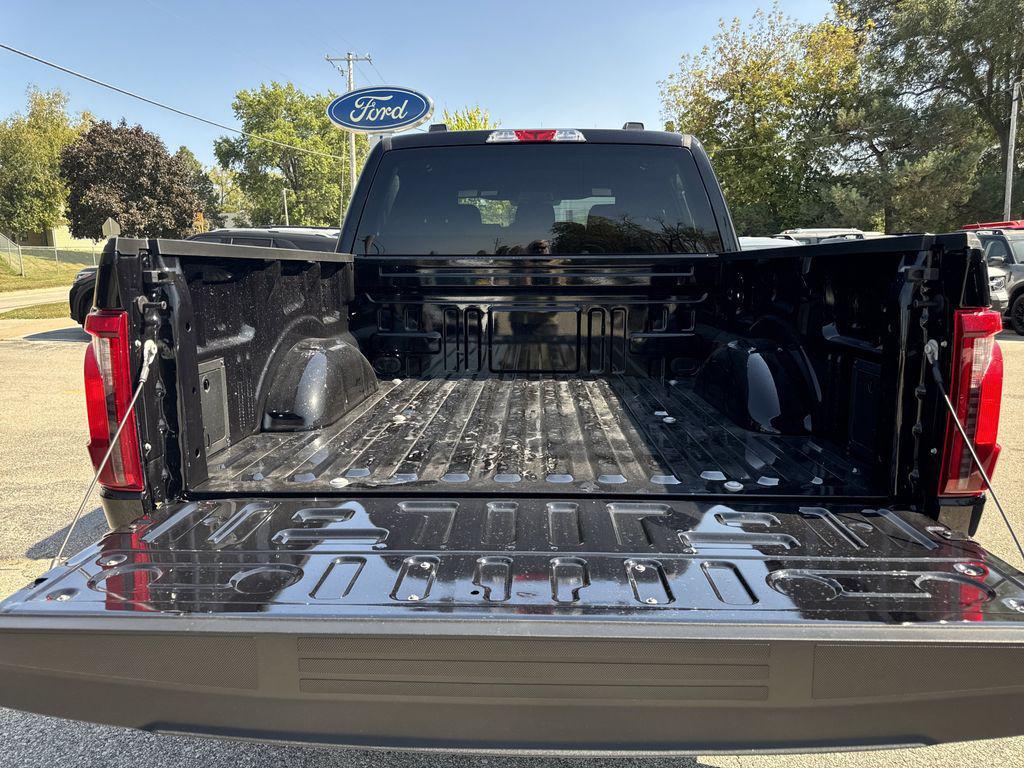 new 2025 Ford F-150 car, priced at $48,114