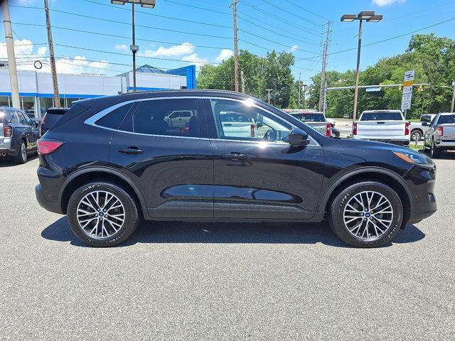 used 2022 Ford Escape PHEV car, priced at $22,990