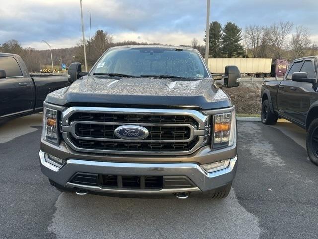 used 2021 Ford F-150 car, priced at $32,495