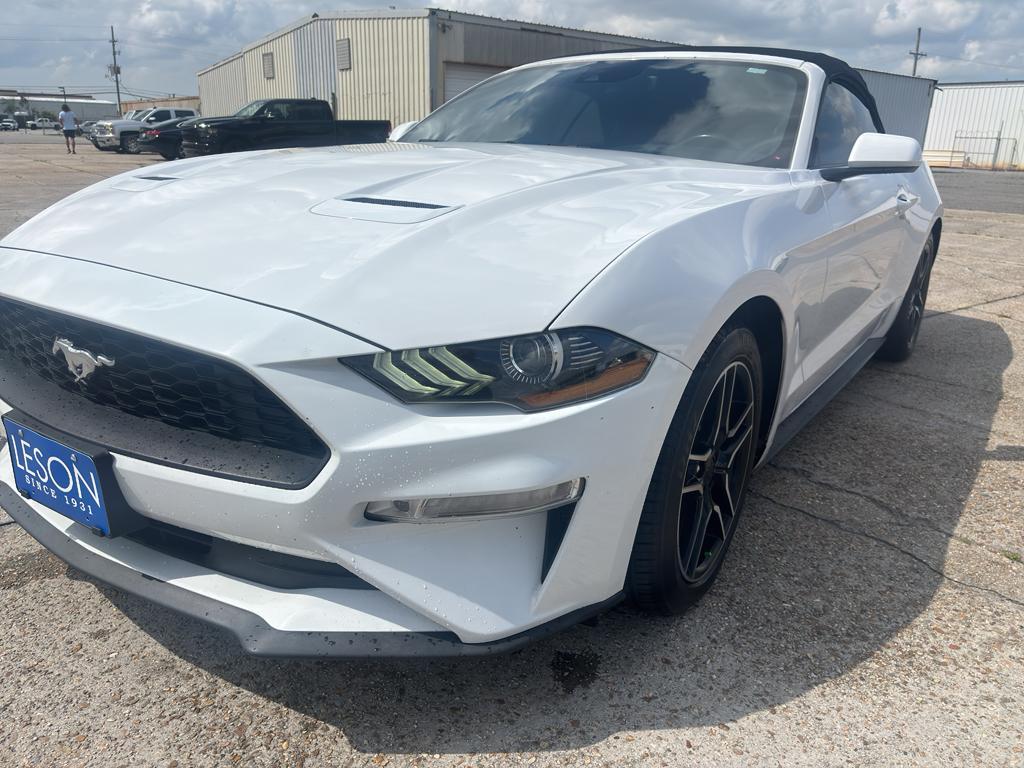 used 2021 Ford Mustang car, priced at $19,890