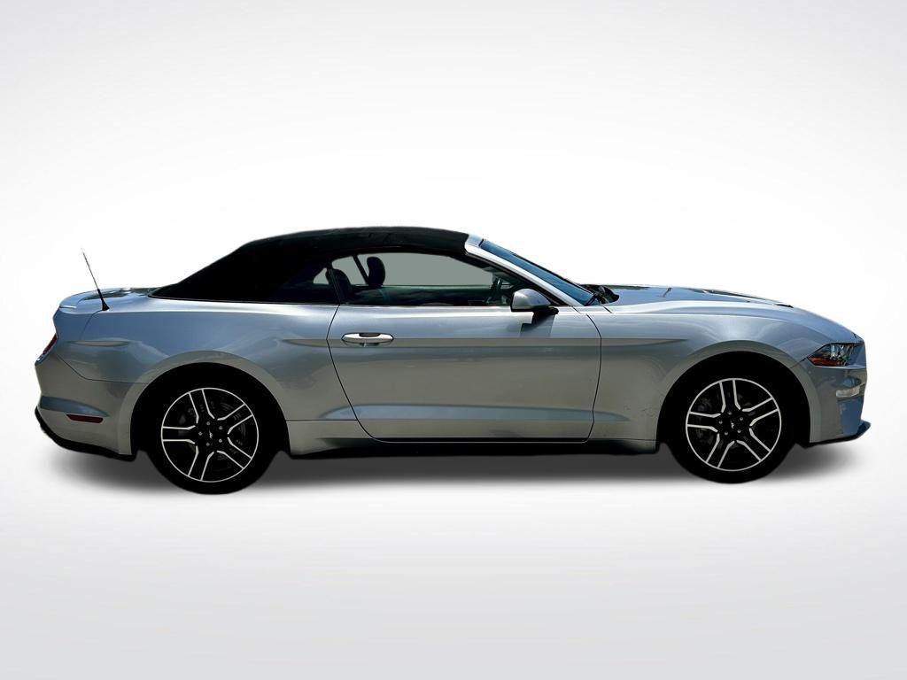 used 2022 Ford Mustang car, priced at $19,798