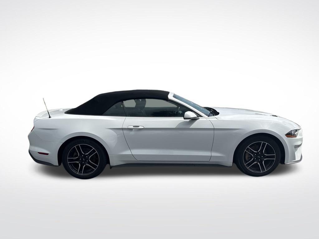 used 2023 Ford Mustang car, priced at $23,499