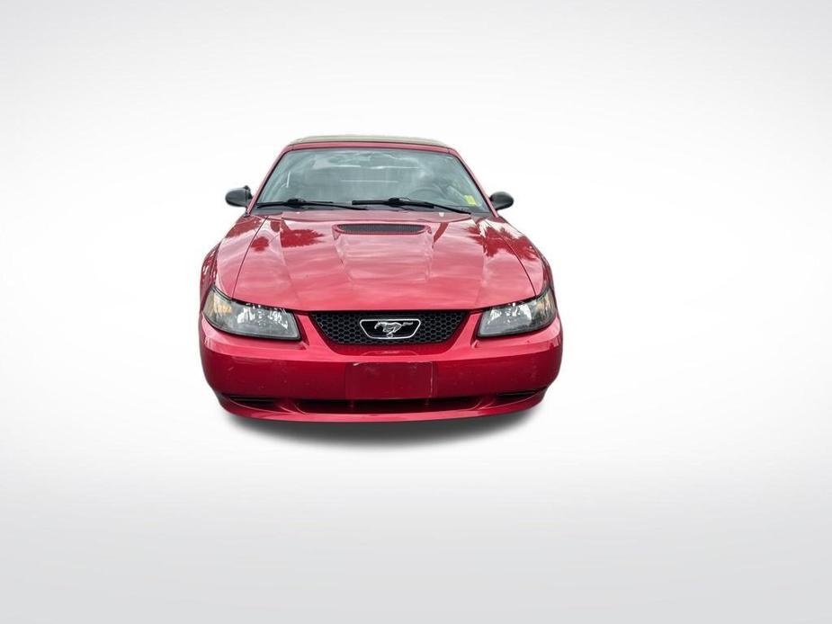 used 2001 Ford Mustang car