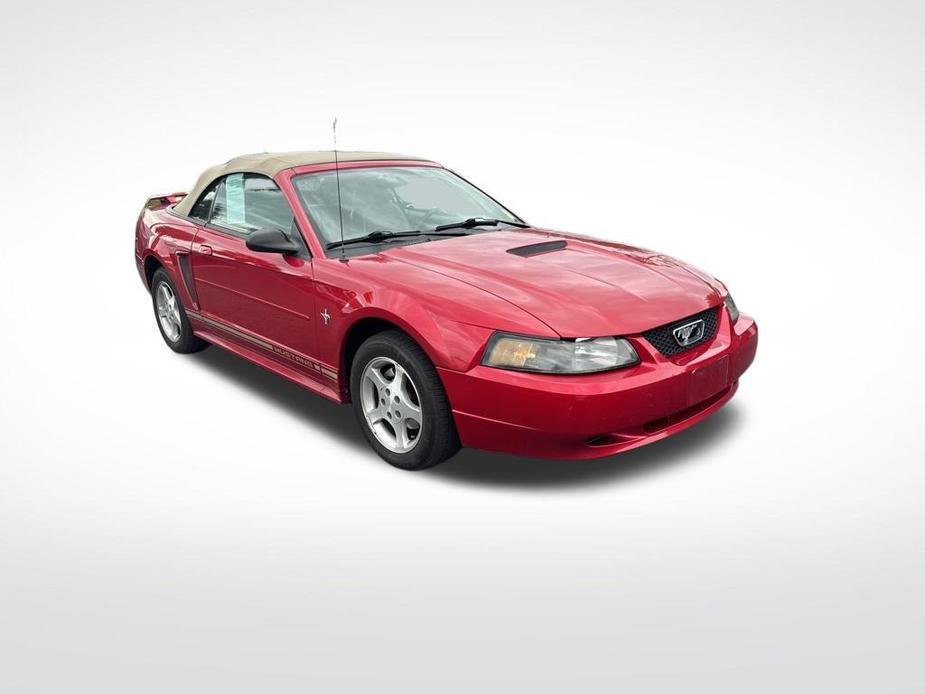 used 2001 Ford Mustang car