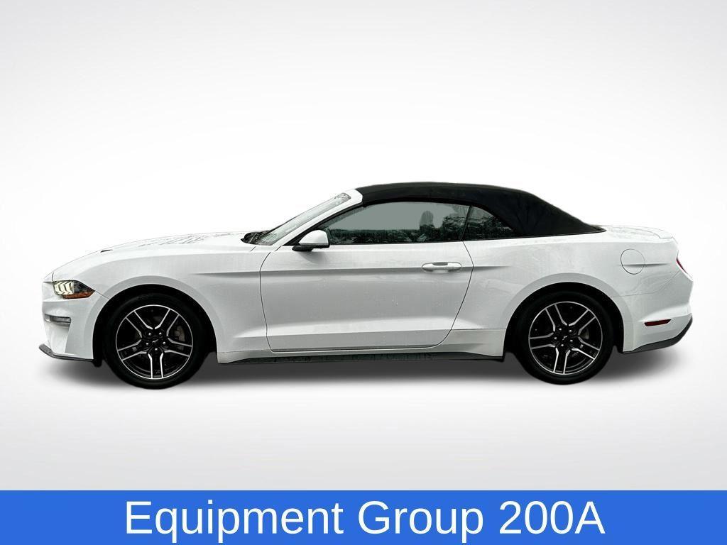 used 2022 Ford Mustang car, priced at $18,999