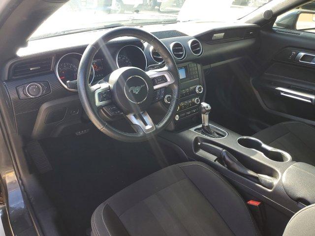 used 2019 Ford Mustang car, priced at $18,995