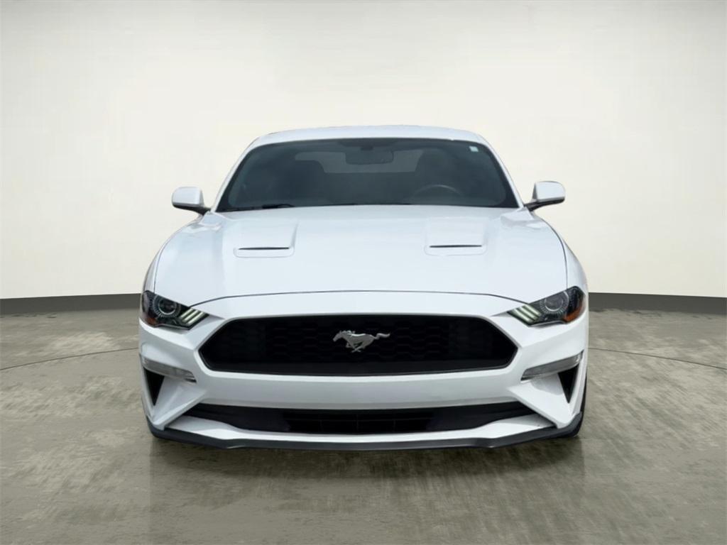 used 2019 Ford Mustang car, priced at $17,498