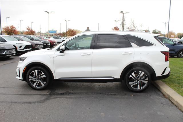 used 2023 Kia Sorento Hybrid car, priced at $36,377