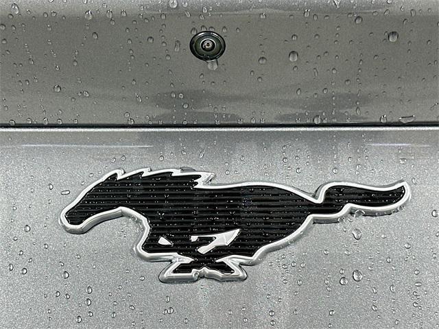 used 2023 Ford Mustang Mach-E car, priced at $33,824