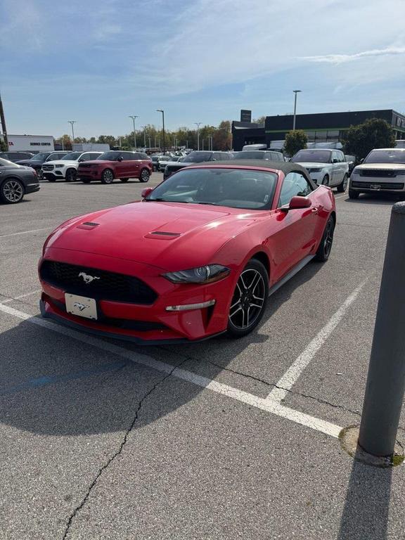 used 2018 Ford Mustang car