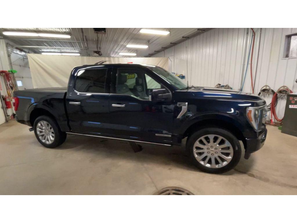 used 2023 Ford F-150 car, priced at $52,590