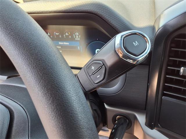 new 2025 Ford F-150 car