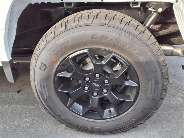 new 2025 Ford F-150 car