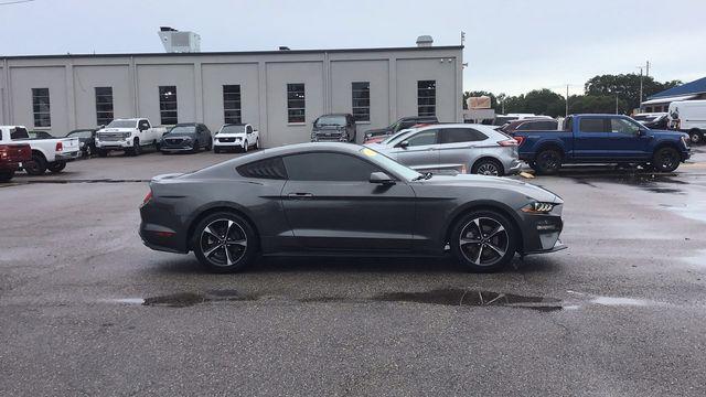 used 2019 Ford Mustang car, priced at $17,681