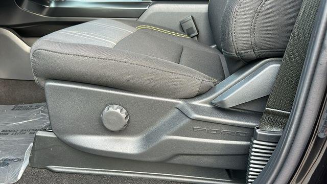new 2025 Ford F-150 car, priced at $47,118