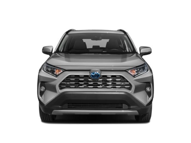 used 2019 Toyota RAV4 Hybrid car