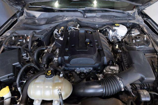 used 2019 Ford Mustang car, priced at $16,495