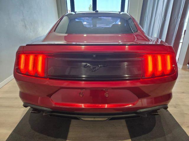 used 2019 Ford Mustang car, priced at $16,495