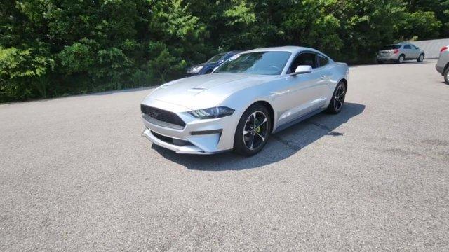 used 2019 Ford Mustang car, priced at $21,500