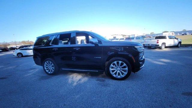 used 2025 Chevrolet Tahoe car, priced at $68,400
